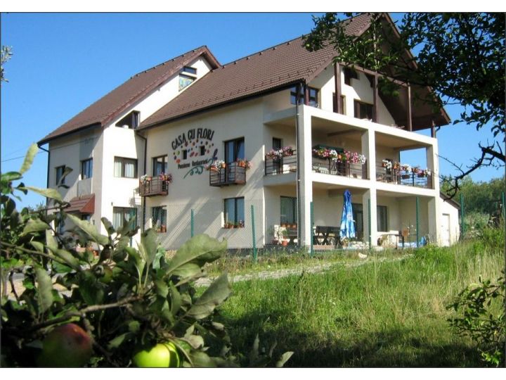 Pensiunea Casa Cu Flori Cisnadioara Tel 026956