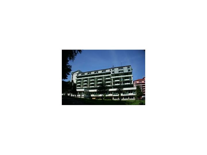 Hotel Bradul, Vatra Dornei