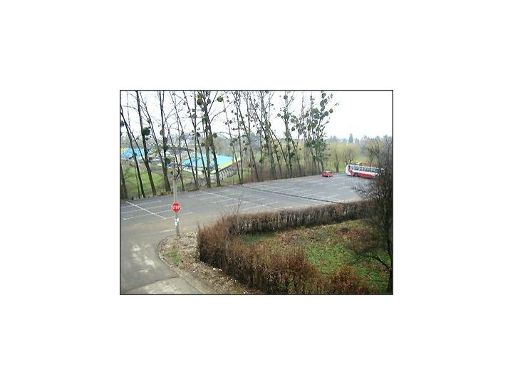 Pensiunea Dealul Florilor, Baia Mare - imaginea 