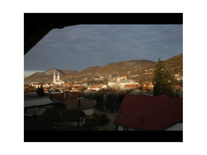 Pensiunea Casa Olarului, Baia Sprie - imaginea 