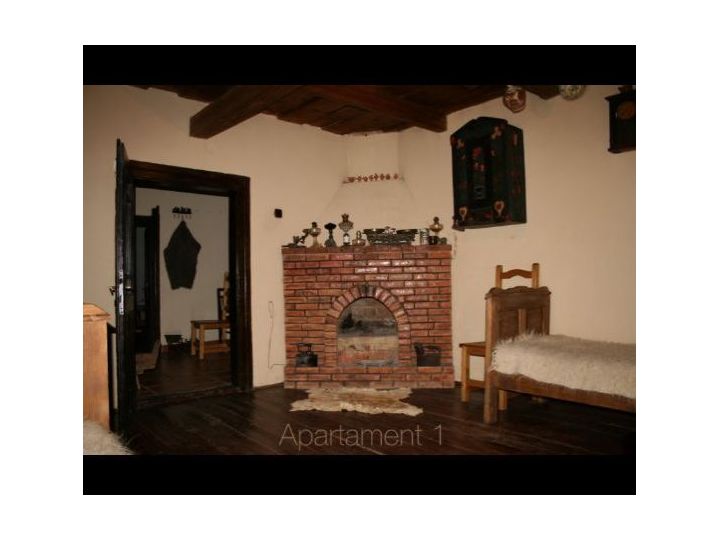 Pensiunea Casa Olarului, Baia Sprie - imaginea 