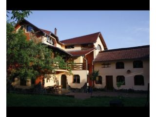 Pensiunea Casa Olarului, Baia Sprie - 3