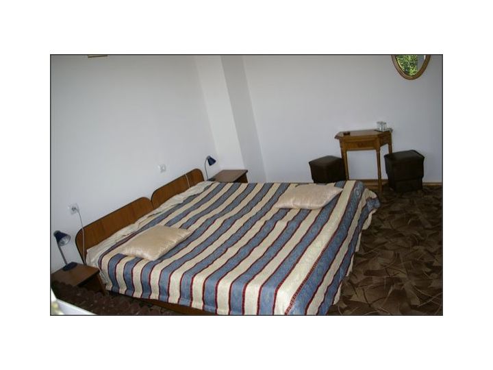 Cabana Mogosa, Baia Sprie - imaginea 