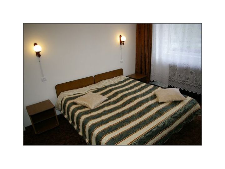 Cabana Mogosa, Baia Sprie - imaginea 