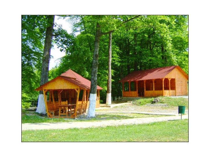 Cabana Mogosa, Baia Sprie - imaginea 
