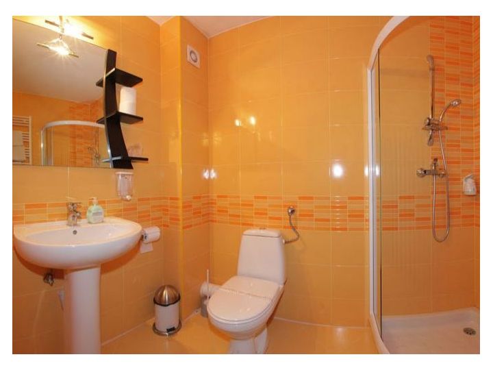 Hotel Victoria, Borsa - imaginea 