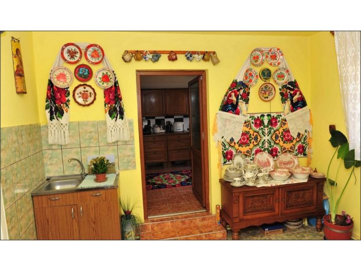 Pensiunea Rustic, Oncesti - imaginea 