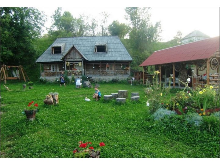 Pensiunea Rustic, Oncesti - imaginea 