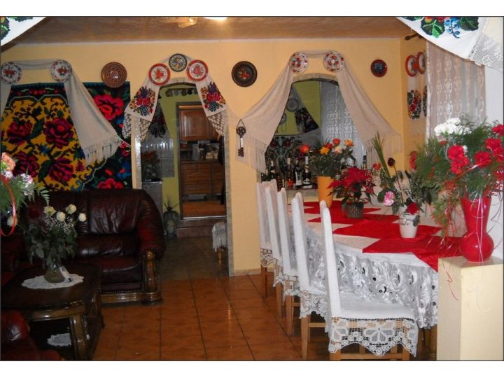 Pensiunea Rustic, Oncesti - imaginea 