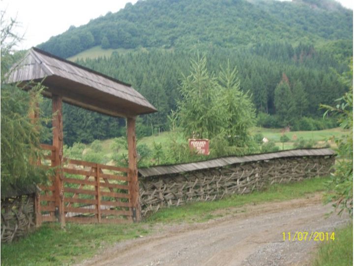 Pensiunea Adriana, Poienile Izei - imaginea 