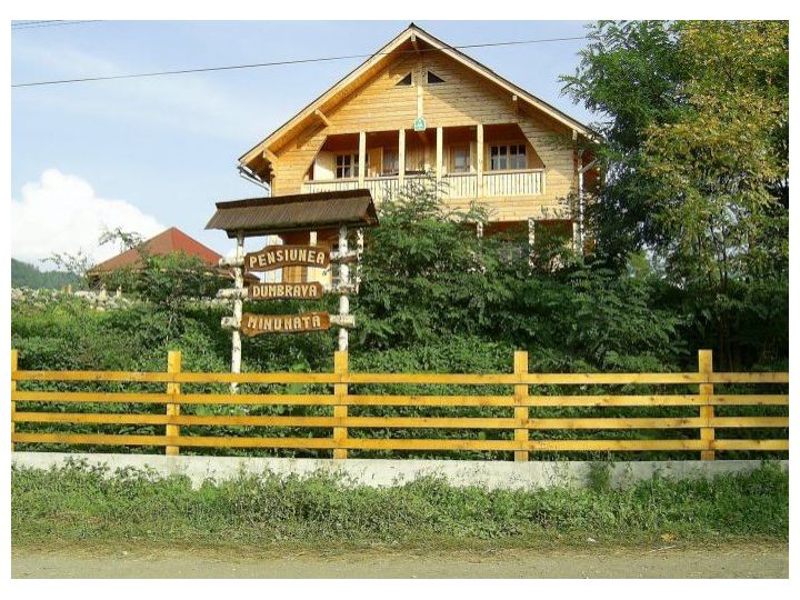 Pensiunea Dumbrava Minunata, Vadu Izei - imaginea 