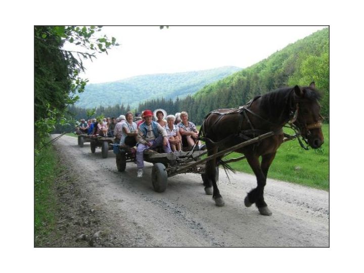 Campingul Mustang, Campu Cetatii - imaginea 