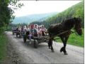 Campingul Mustang, Campu Cetatii - thumb 5