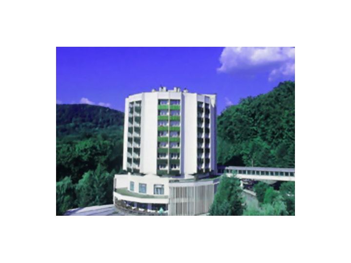 Hotel Bradet Health Spa, Sovata - imaginea 