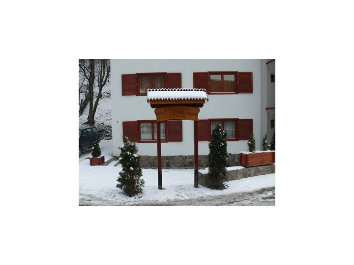 Pensiunea Eva, Sovata - imaginea 
