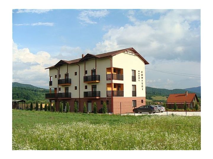 Cabana Hanul Conitei, Sovata - imaginea 