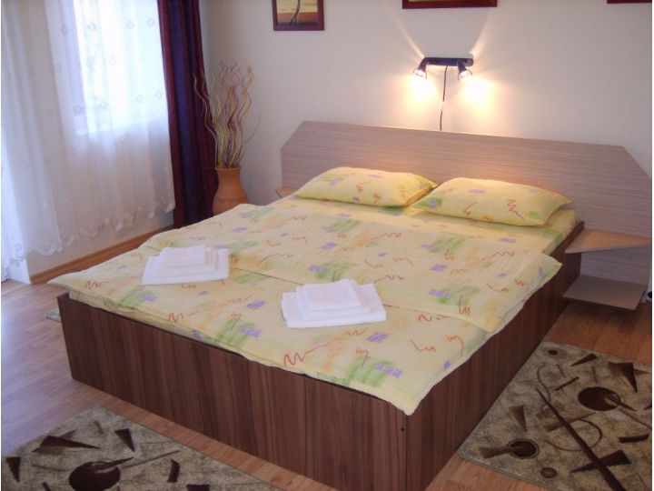 Pensiunea Julia, Sovata - imaginea 
