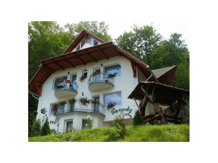 Pensiunea Szandy, Sovata - imaginea 