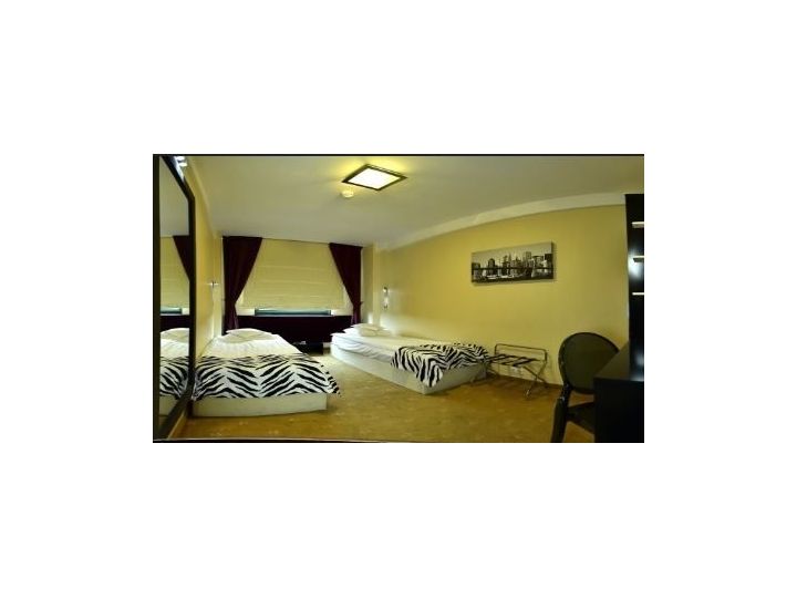 Hotel Business Hotel Conference & SPA, Targu Mures - imaginea 