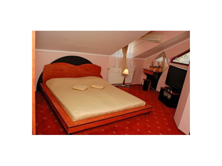 Pensiunea Casa Adria, Targu Mures - imaginea 