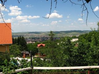 Pensiunea Casa Adria, Targu Mures - 2