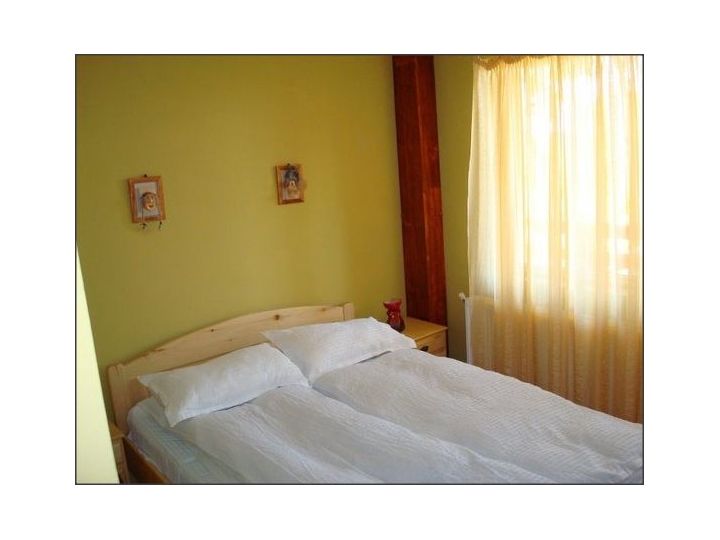 Pensiunea Punguta Cu Doi Bani, Agapia - imaginea 