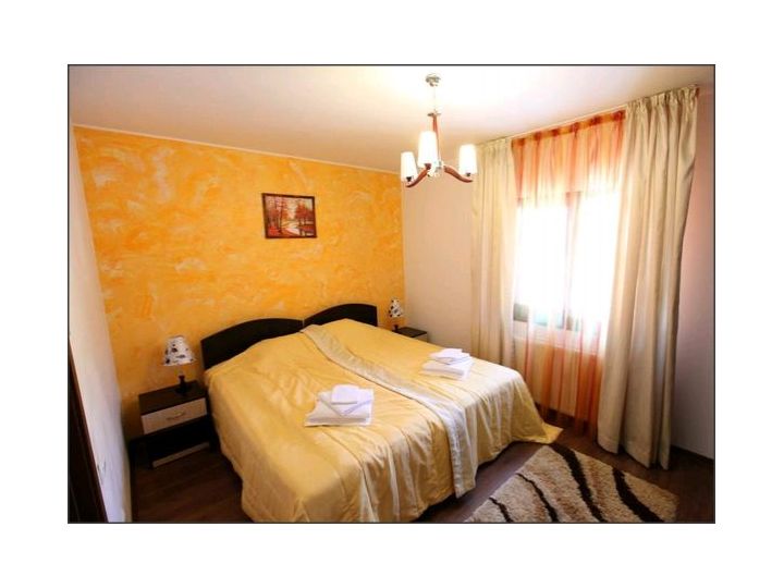 Pensiunea Ianis, Bistrita Neamt - imaginea 