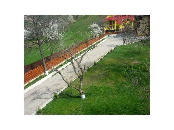 Pensiunea Ianis, Bistrita Neamt - imaginea 