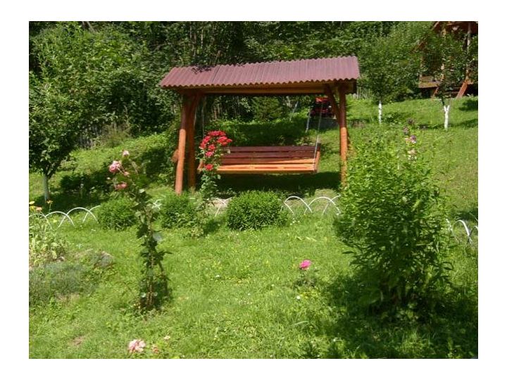 Pensiunea Rogin, Buhalnita - imaginea 