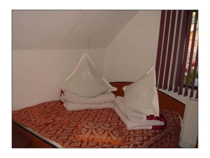 Vila Cristina 2, Ceahlau - imaginea 