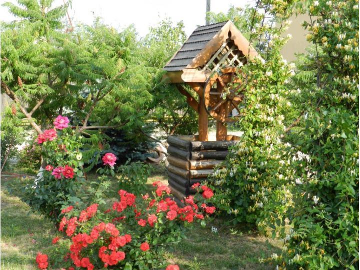 Pensiunea Casa Moldoveana, Piatra Neamt - imaginea 
