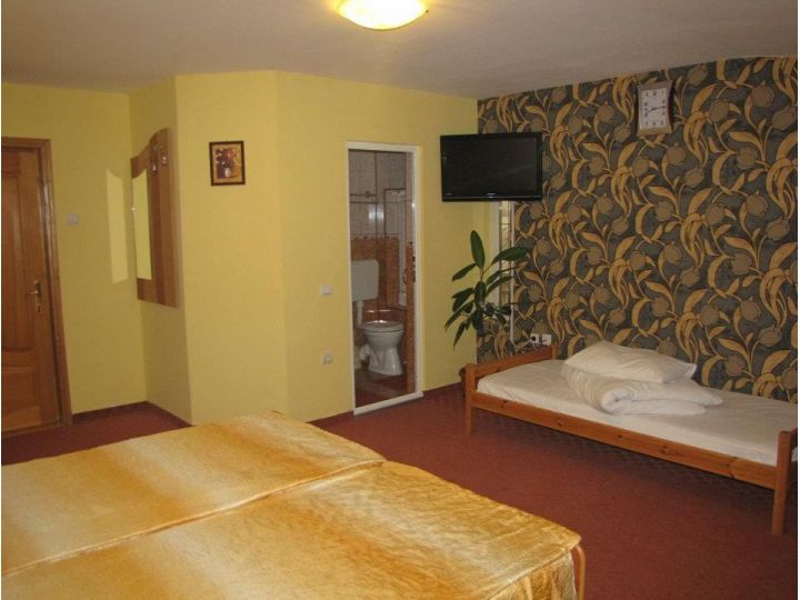 Pensiunea Cornelius, Piatra Neamt - imaginea 