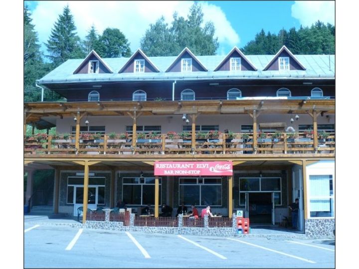 Pensiunea Elvi RGH, Poiana Teiului - imaginea 