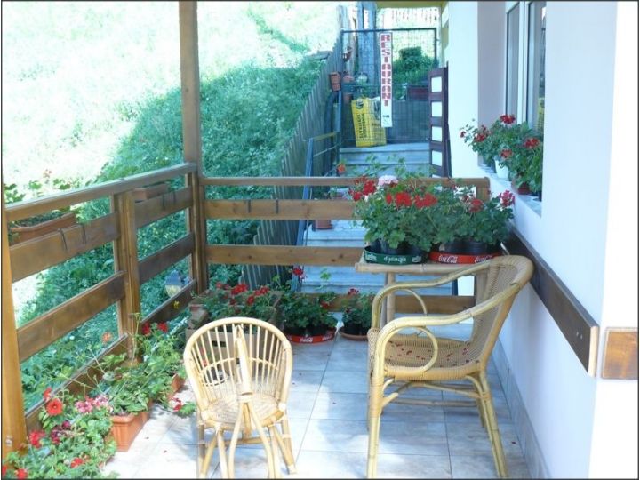 Pensiunea Elvi RGH, Poiana Teiului - imaginea 