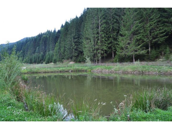 Pensiunea Corola, Tarcau - imaginea 
