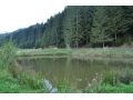 Pensiunea Corola, Tarcau - thumb 9