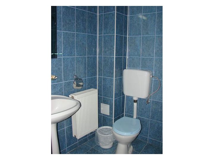 Hostel Hanul Ursilor, Vanatori Neamt - imaginea 