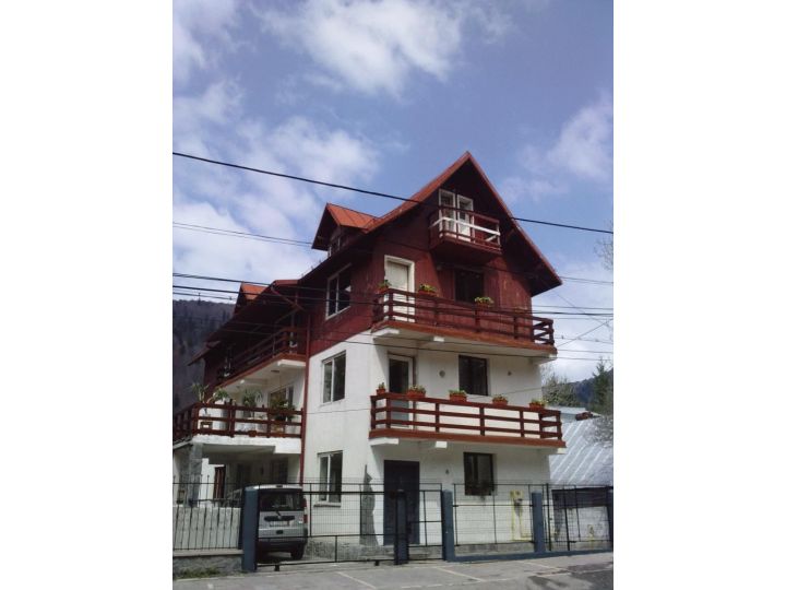 Pensiunea Casa Barcaru, Azuga - imaginea 