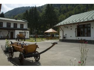 Pensiunea Rhein, Azuga - 5