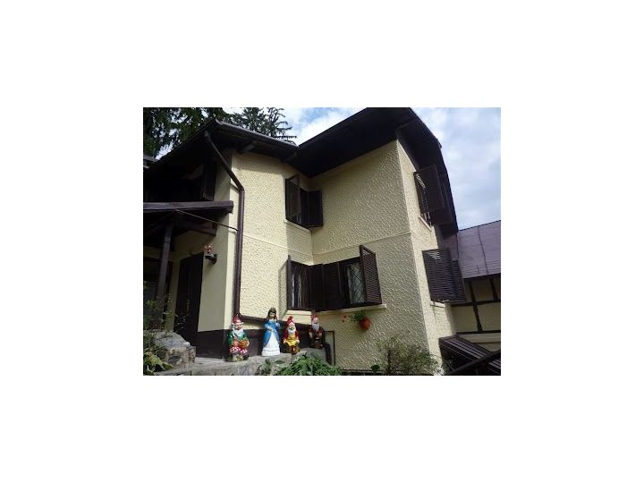 Vila Alba Ca Zapada, Sinaia - imaginea 
