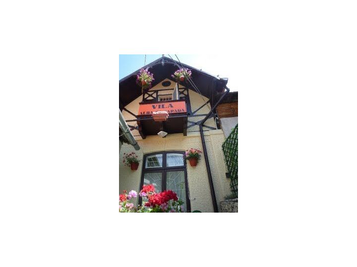 Vila Alba Ca Zapada, Sinaia - imaginea 