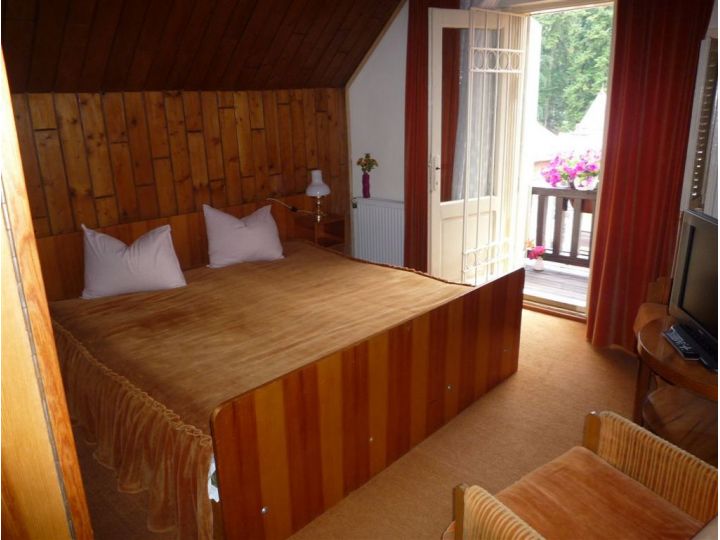 Vila Alba Ca Zapada, Sinaia - imaginea 