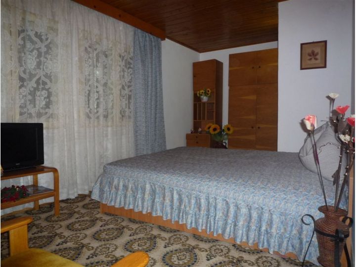 Vila Alba Ca Zapada, Sinaia - imaginea 