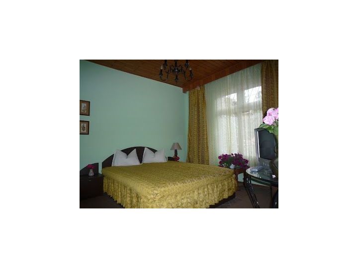 Vila Alba Ca Zapada, Sinaia - imaginea 