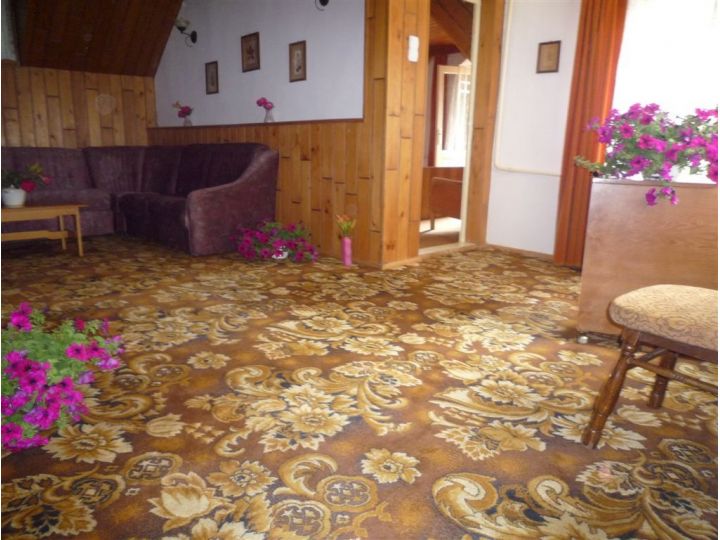 Vila Alba Ca Zapada, Sinaia - imaginea 