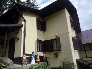 Vila Alba Ca Zapada, Sinaia - 1