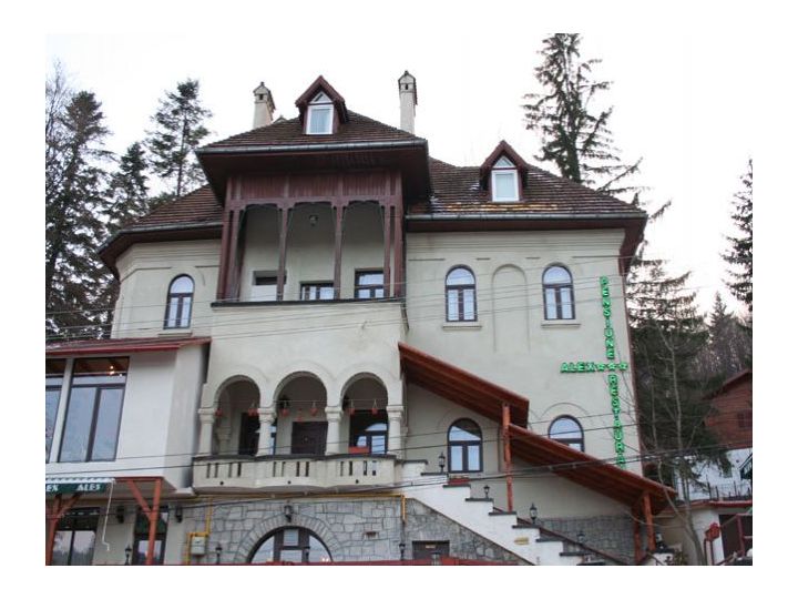 Pensiunea Alex, Sinaia - imaginea 