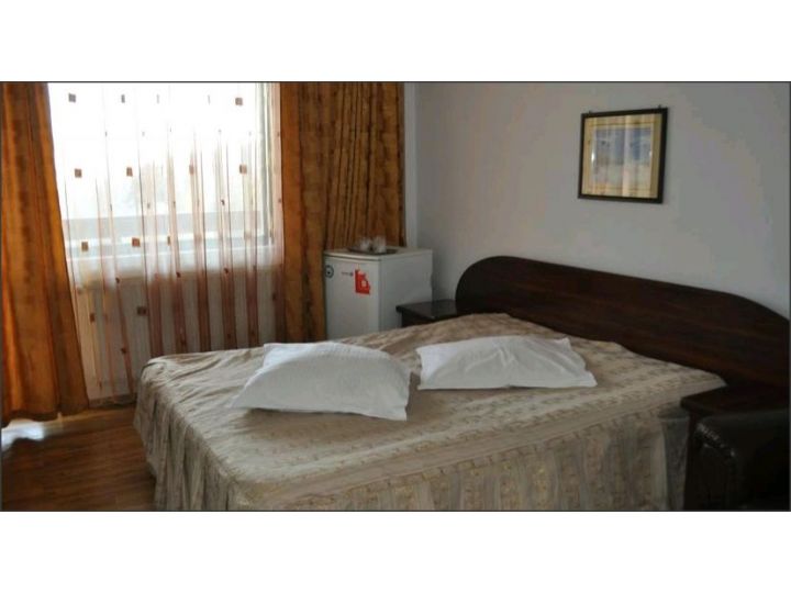 Pensiunea Andree, Sinaia - imaginea 