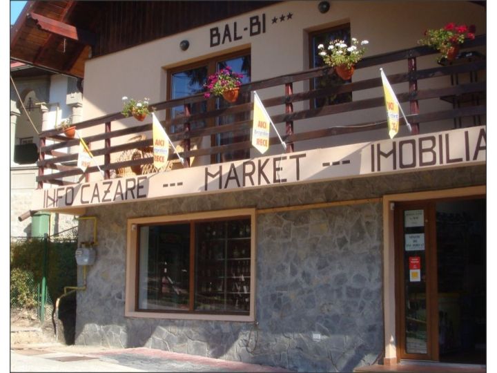 Vila Balbi, Sinaia - imaginea 