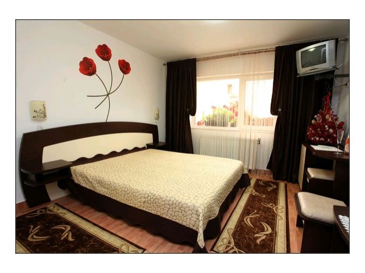Camere de inchiriat Casa Galbena, Sinaia - imaginea 